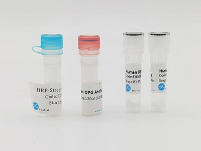 犬脑钠素(BNP)酶联免疫吸附测定(elisa)试剂盒