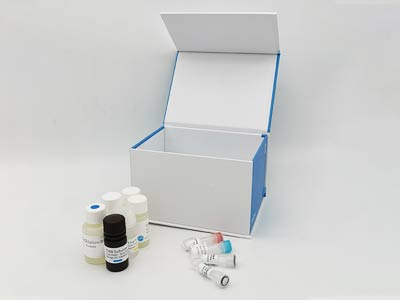 鸡甲胎蛋白(αFP)酶联免疫吸附测定(elisa)试剂盒