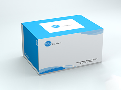Bradford蛋白质测定试剂盒