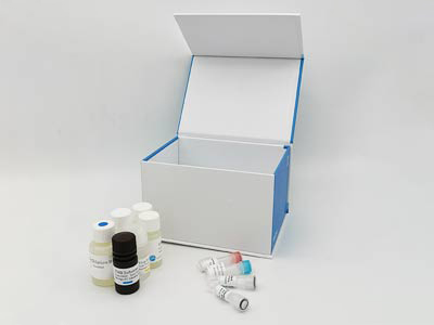 小鼠唾液淀粉酶α1(AMY1)elisa试剂盒