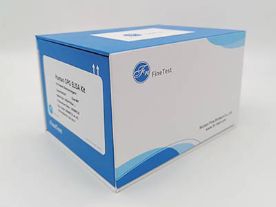 仓鼠γ干扰素(IFN-γ)酶联免疫吸附测定(elisa)试剂盒