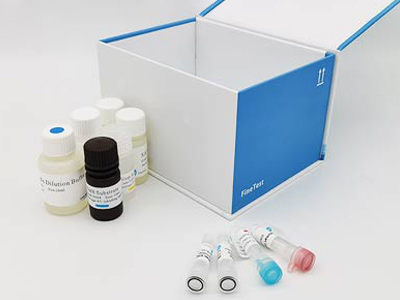 马纤溶酶原激活物抑制物2(PAI2)酶联免疫吸附测定(elisa)试剂盒