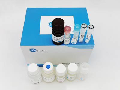 小鼠基质金属蛋白酶抑制因子3(TIMP-3)酶联免疫吸附(elisa)试剂盒
