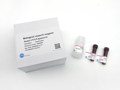 Annexin V-FITC细胞凋亡试剂盒