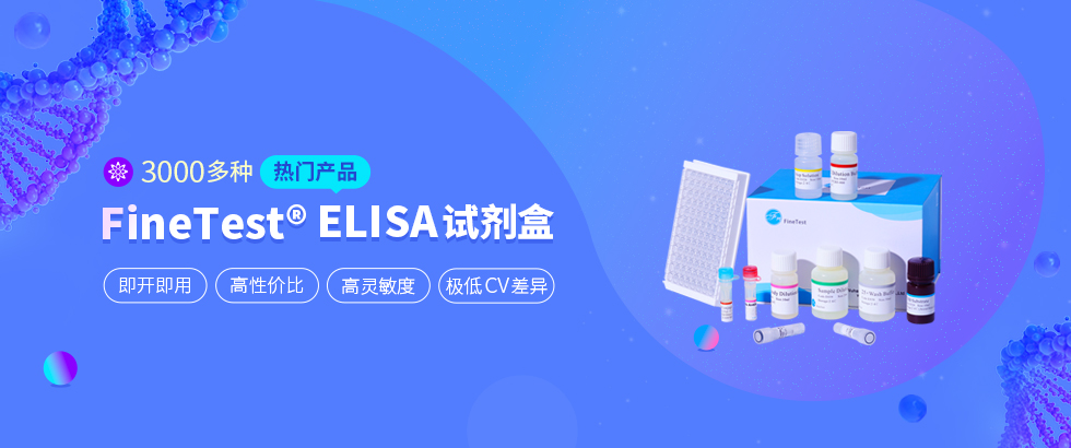 ELISA试剂盒