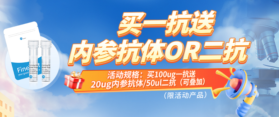 抗体促销