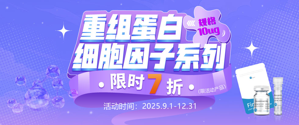 重组蛋白特价促销