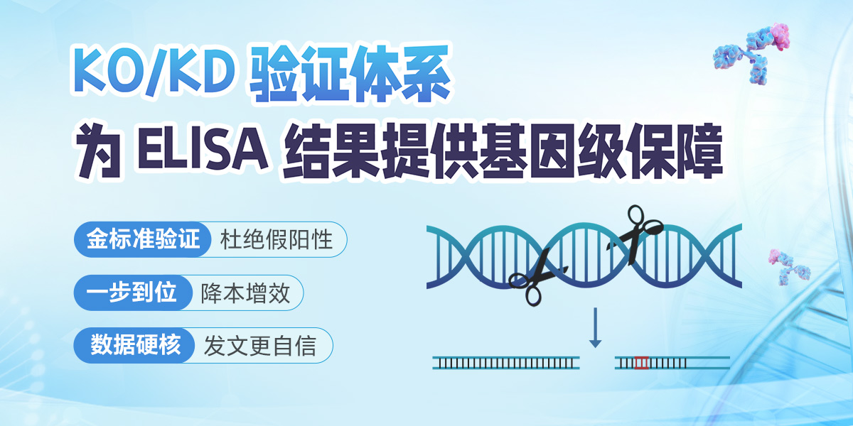 KOKD验证EILISA试剂盒