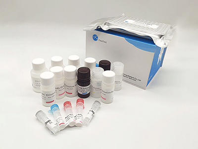 犬免疫球蛋白M(IgM)酶联免疫吸附测定(elisa)试剂盒