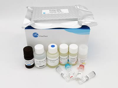 山羊纤维蛋白原(FG)酶联免疫吸附测定(elisa)试剂盒