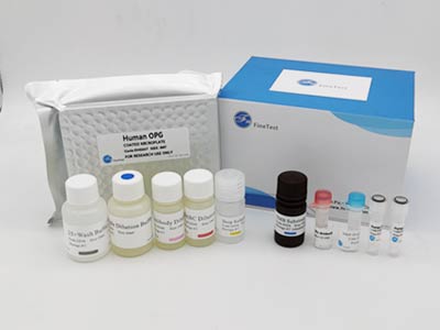 山羊促卵泡素(FSH)酶联免疫吸附测定(elisa)试剂盒