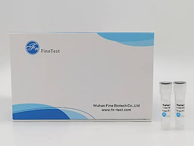 山羊白介素10(IL-10)酶联免疫吸附测定(elisa)试剂盒