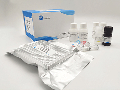 山羊白介素6(IL-6)酶联免疫吸附测定(elisa)试剂盒