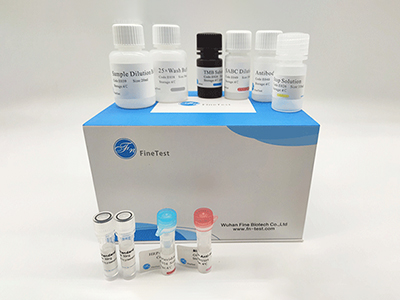豚鼠γ干扰素(IFN-γ)酶联免疫吸附测定(elisa)试剂盒