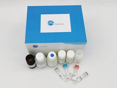 马胰岛素样生长因子1(IGF-1)酶联免疫吸附测定(elisa)试剂盒
