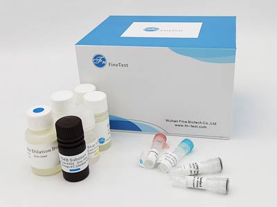 马纤溶酶原激活物抑制因子1(PAI1)酶联免疫吸附测定(elisa)试剂盒