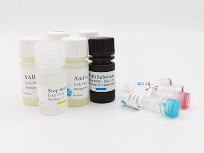 绵羊抗利尿激素(ADH)酶联免疫(elisa)试剂盒