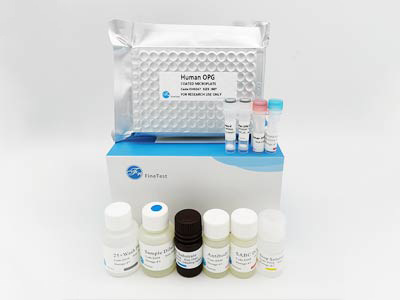人轻肽神经丝蛋白(NEFL)elisa试剂盒