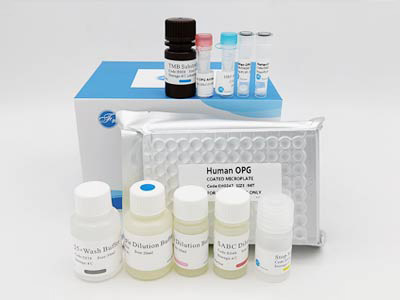 人神经营养因子4(NT-4)elisa试剂盒