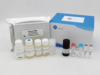 人氨基端前脑钠素(NT-proBNP)elisa试剂盒