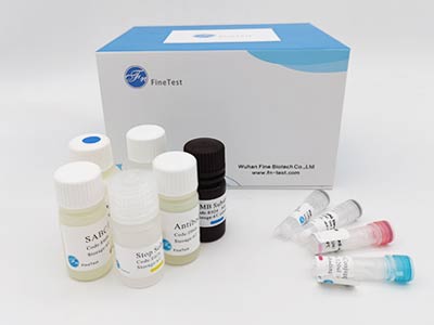 人前蛋白转化酶枯草溶菌素9(PCSK9)elisa试剂盒