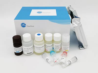 鸡白介素10(IL-10)酶联免疫吸附测定(elisa)试剂盒