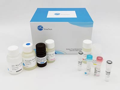鸡神经营养因子3(NT-3)酶联免疫吸附测定(elisa)试剂盒