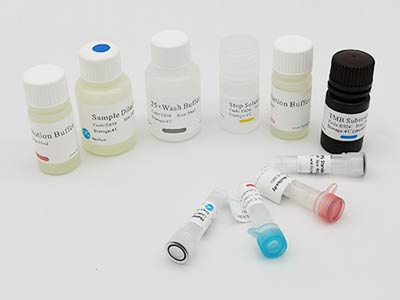 豚鼠白介素8(IL-8)酶联免疫吸附测定(elisa)试剂盒