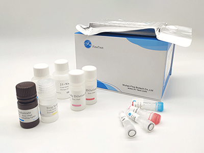 猴白介素6受体(IL-6R)酶联免疫吸附测定(elisa)试剂盒
