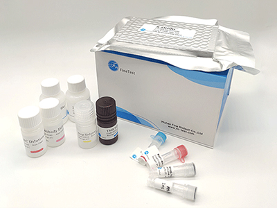 猴氨基端前脑钠素(NT-proBNP)酶联免疫吸附测定(elisa)试剂盒