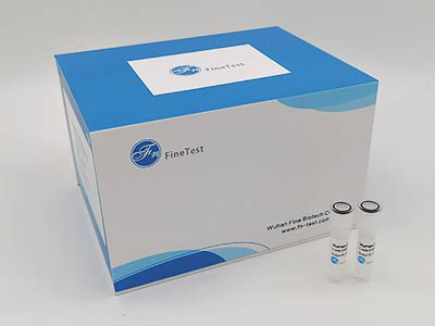 猴抵抗素(RETN)酶联免疫吸附测定(elisa)试剂盒