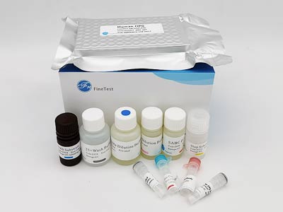 猴肿瘤坏死因子相关凋亡诱导配体(TRAIL/TNFSF10)酶联免疫吸附测定(elisa)试剂盒