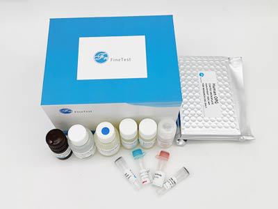 猪睫状神经营养因子(CNTF)酶联免疫吸附测定(elisa)试剂盒