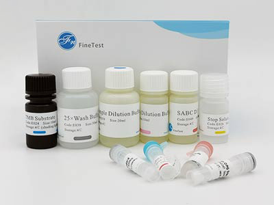 猪铁蛋白(FE)酶联免疫吸附测定(elisa)试剂盒