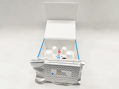 猪β干扰素(IFN-β)酶联免疫吸附测定(elisa)试剂盒