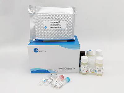 猪骨保护素(OPG)酶联免疫吸附测定(elisa)试剂盒