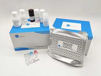 前列腺素F2α(PGF2α)酶联免疫(elisa)试剂盒