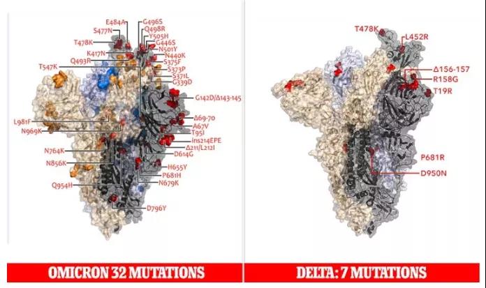 Omicron变体32个突变