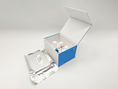 大鼠β淀粉样蛋白42(Aβ42)酶联免疫(elisa)试剂盒