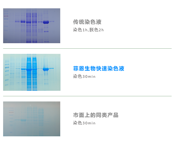 js33333金沙线路检测端午活动