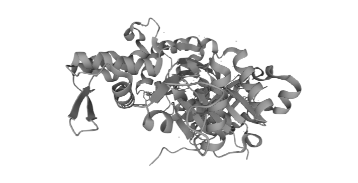 Thymosin beta 4  蛋白的结构