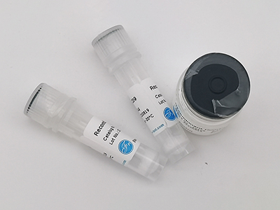 人源BIRC7重组蛋白