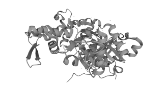 生物学功能研究肌动蛋白调节分子胸腺素