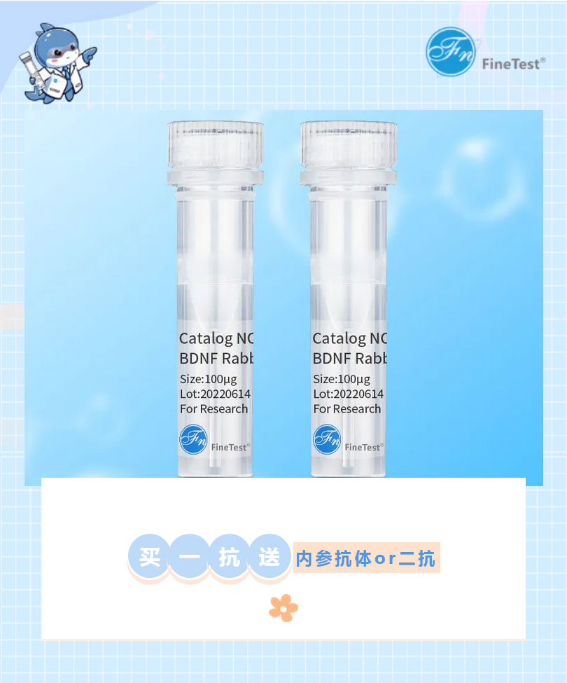 菲恩生物买一抗送二抗或内参抗体