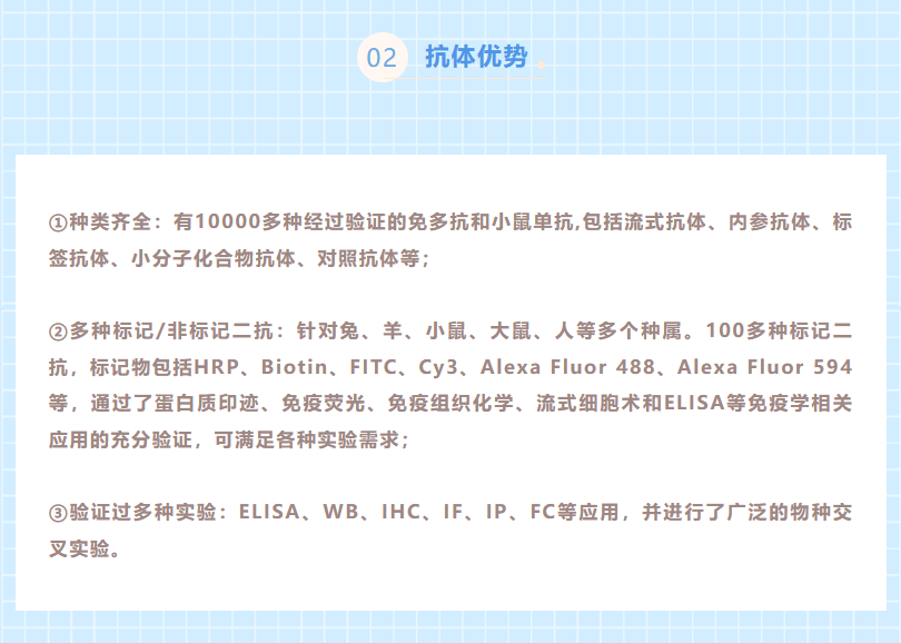 菲恩生物买一抗送二抗或内参抗体