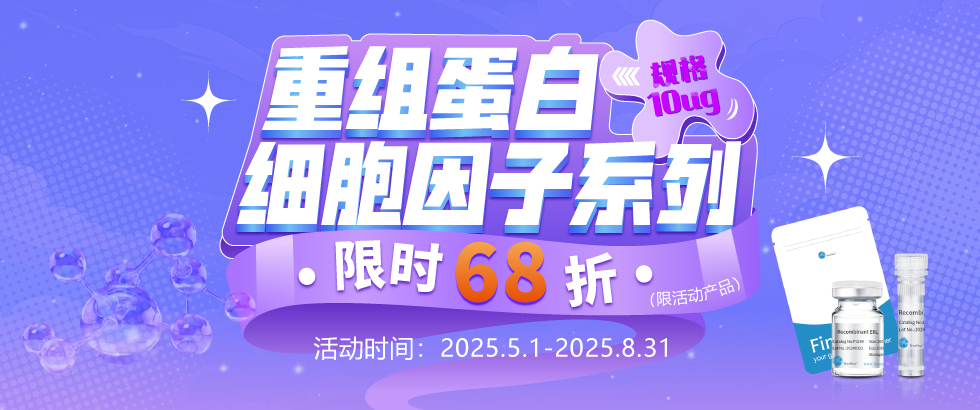 蛋白特价促销